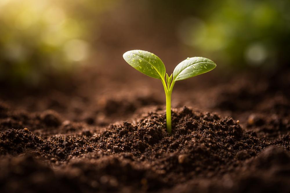 Saving Habits That Tend to Be Easier to Maintain